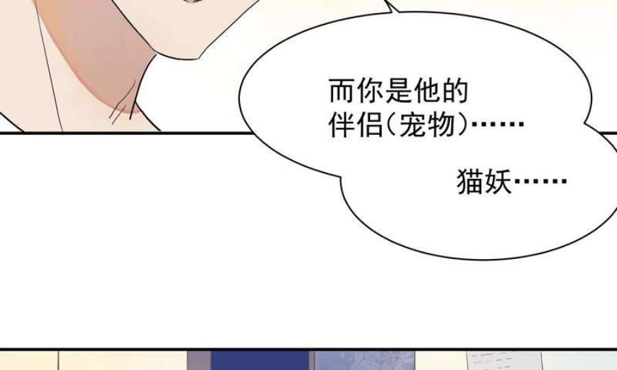 上仙缺猫否漫画免费全集漫画,被猫碰瓷了 20图