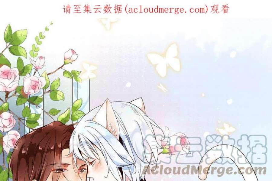 上仙，缺猫否？漫画,终于找到你了 1图