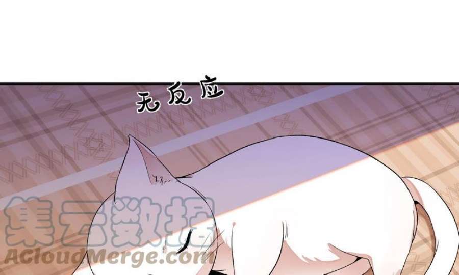 上仙，缺猫否？漫画,终于找到你了 19图