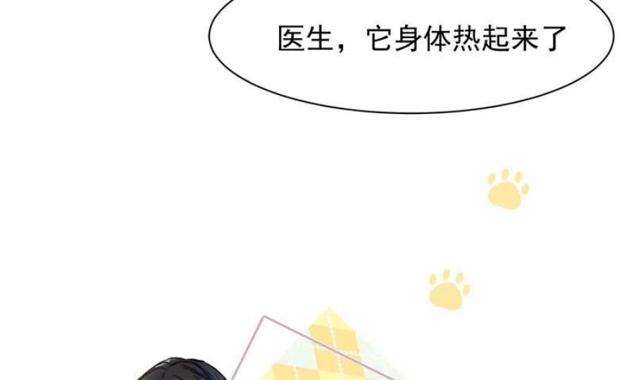 上仙，缺猫否？漫画,终于找到你了 68图