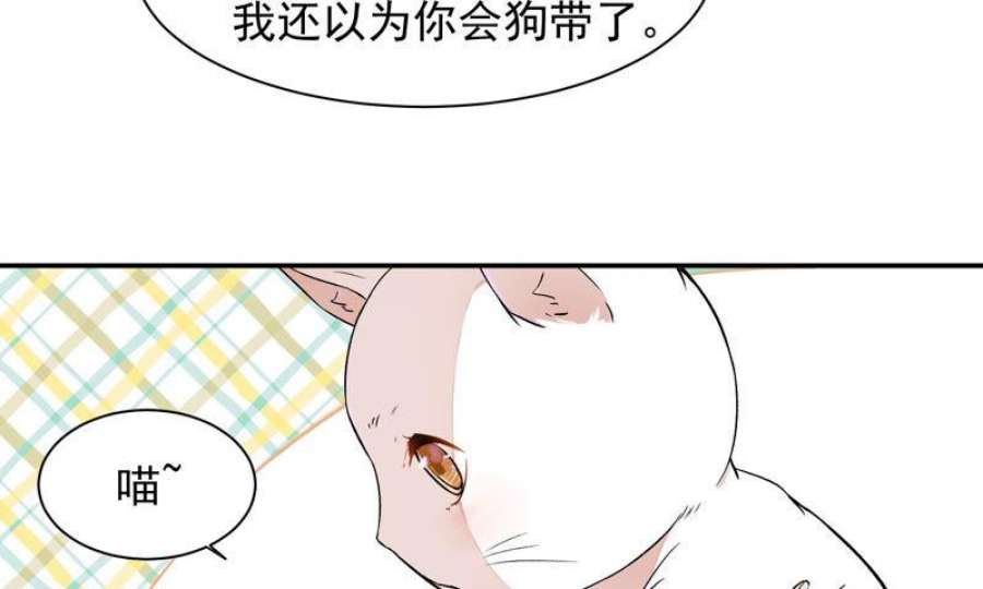 缺猫否主角是谁漫画,变不回来了 41图