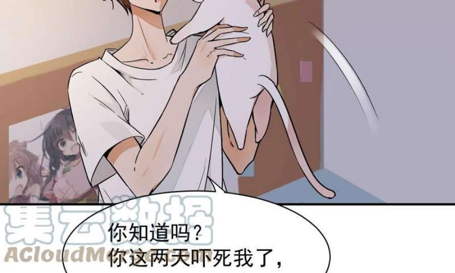 缺猫否主角是谁漫画,变不回来了 40图