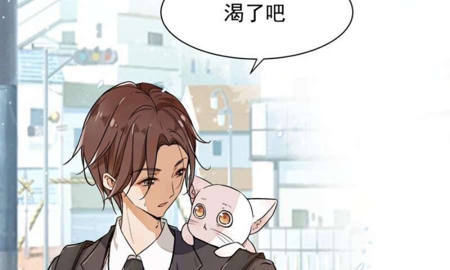 上仙，缺猫否？漫画,竟然开单了 17图