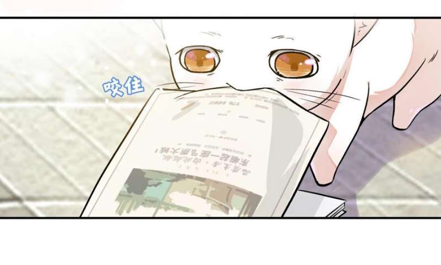 上仙，缺猫否？漫画,竟然开单了 41图