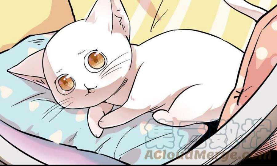 上仙请留步漫画,网红猫 49图