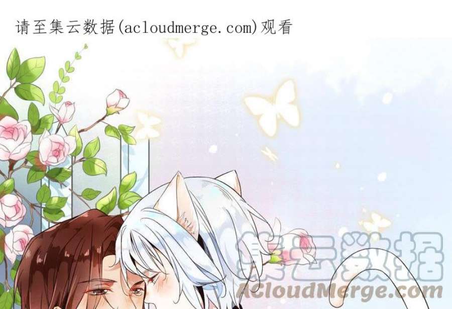 上仙，缺猫否？漫画,网红猫 1图