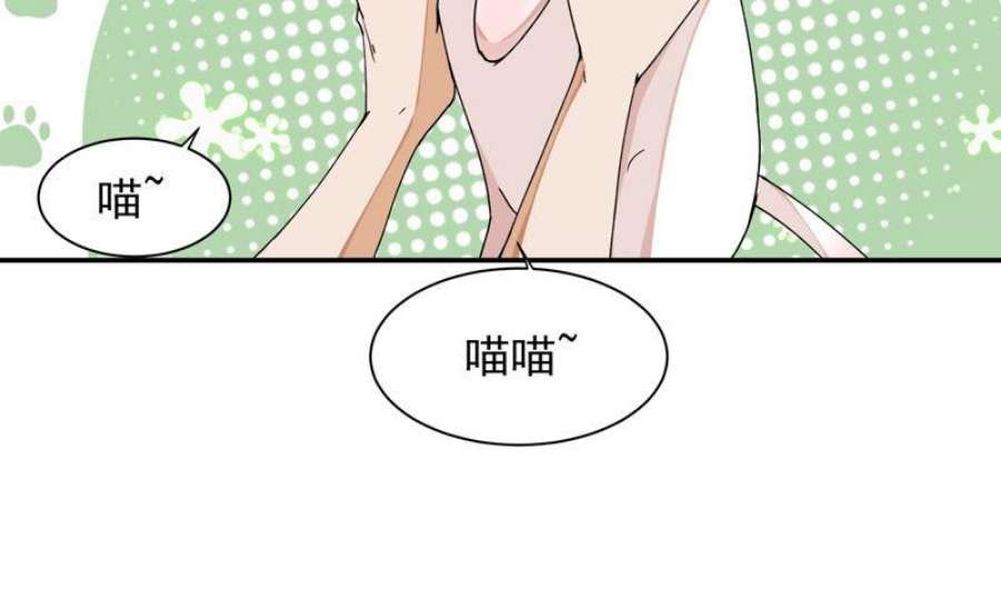 上仙，缺猫否？漫画,山雨欲来风满楼 41图