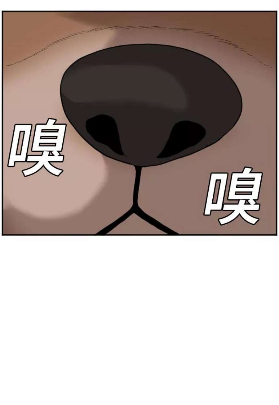 我是坏小子漫画免费漫画,第66话 56图