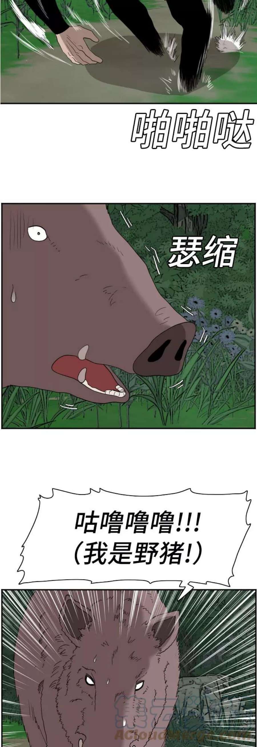 我是坏小子秀真结局漫画,第68话 34图