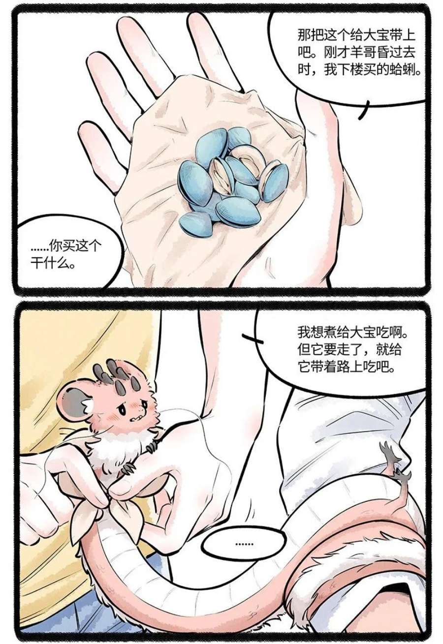 薛定谔之羊漫画,018 小羊与大宝 10图