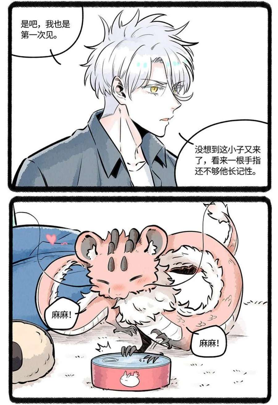 薛定谔之羊漫画,023 小羊有自信 4图