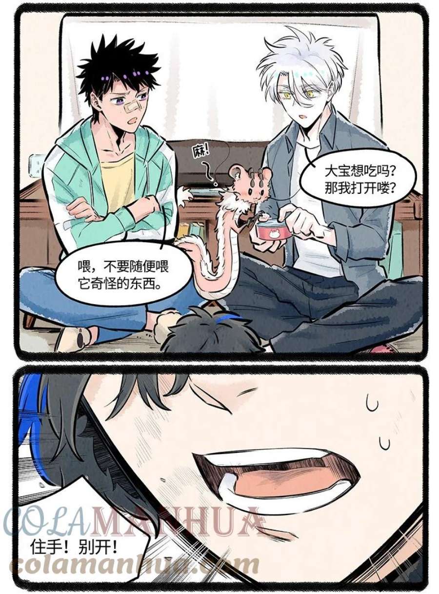 薛定谔之羊漫画,023 小羊有自信 5图