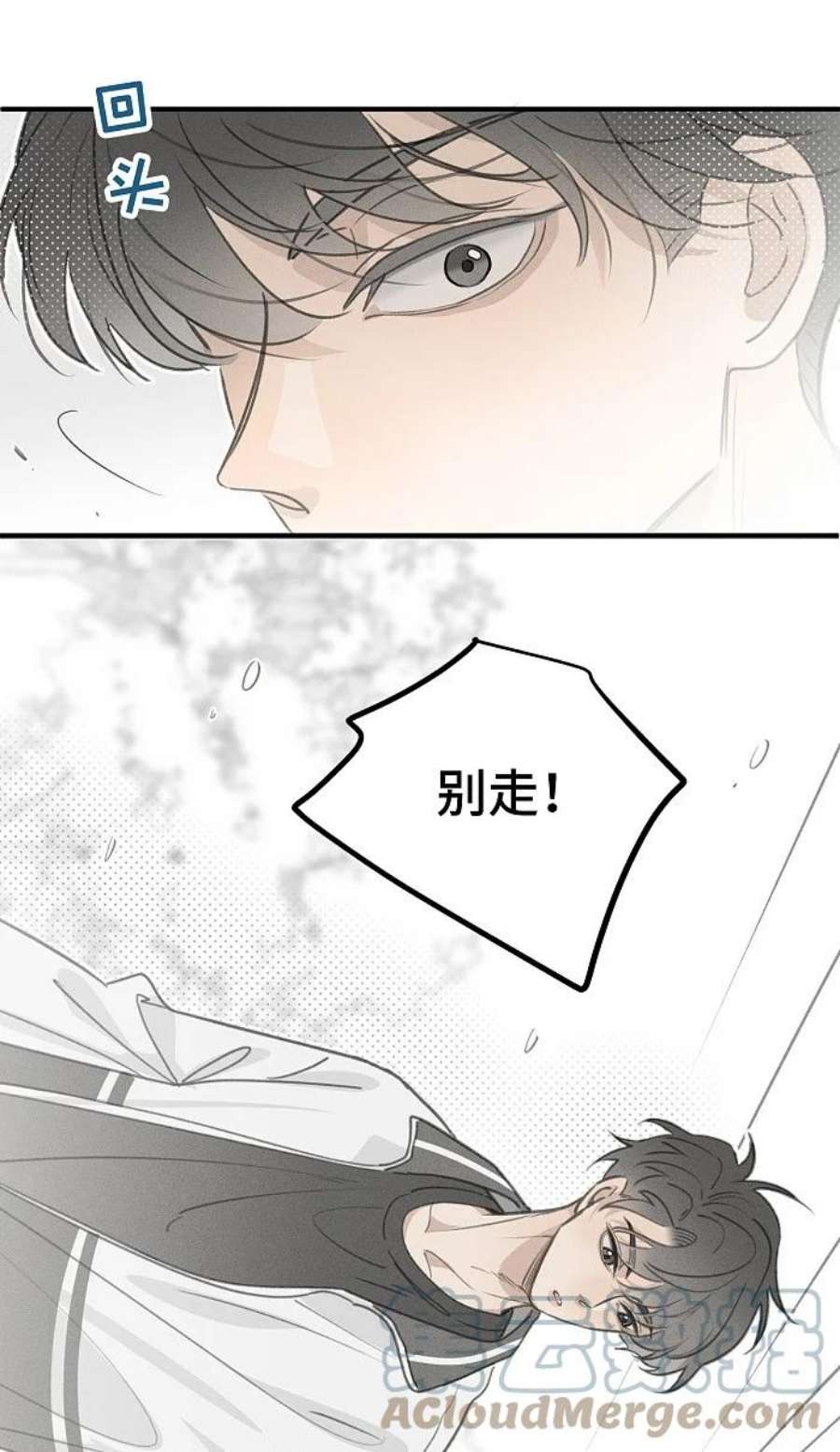 盐友漫画全集免费36话漫画,50 以后别哭了。 11图